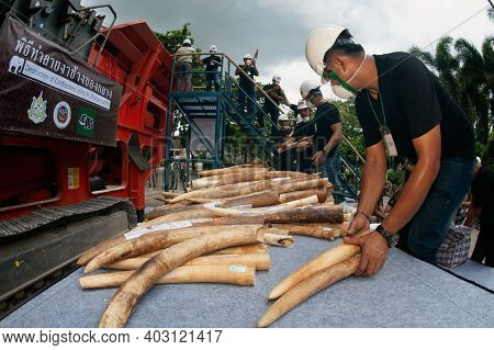Bangkok ,thailand-august 26 , 2015 : Government Officials An Unknown Man Is Destroying The Seized Iv