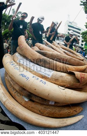 Bangkok ,thailand-august 26 , 2015 : Government Officials An Unknown Man Is Destroying The Seized Iv