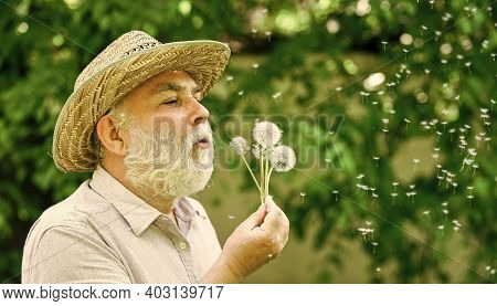Lonely Grandpa Blowing Dandelion Seeds In Park. Mental Health. Peace Of Mind. Peacefulness. Tranquil