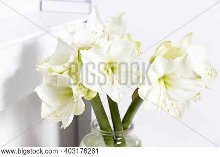 Bouquet Of White Lilies In A Tall Glass Vase On A Beige Table Against A Gray Wall. Copy Space. Fresh