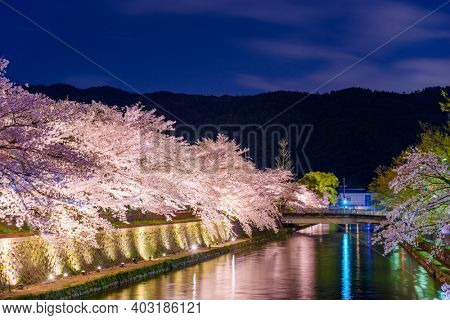 Kyoto, Japan on the Okazaki Canal during the spring cherry blossom season at night.
