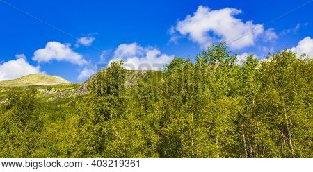 Mountain And Forest Landscape Panorama At Sunny Day Vang Norway.