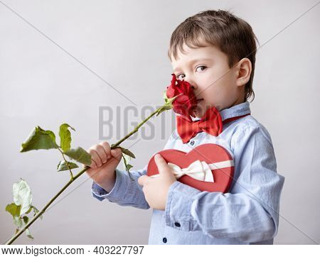 Cute Little Boy In Bow Tie With Red Heart Gift Box Smel Rose. Valentine.