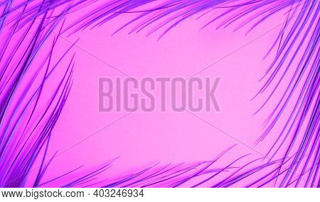 Frame Of Tropical Palm Leaves