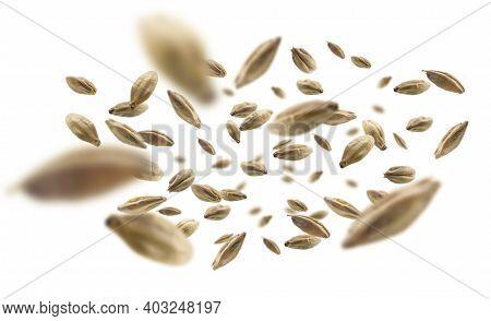 Barley Malt Grains Levitate On A White Background