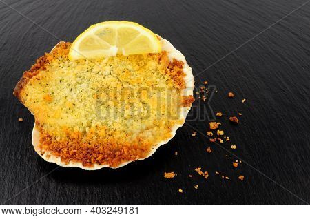 Coquille St Jacques Scallop Shellfish Filled With White Wine And Cheese Cream Sauce, Topped With Bre