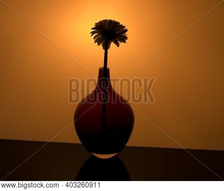 White Gerbera Flower In A Round Red Vase On A Dark Orangeyellow Background.