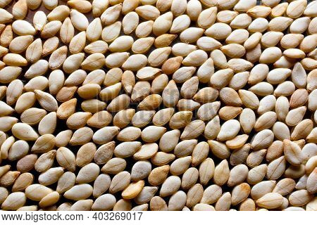 Sesame Seeds Close Up Photo For Background