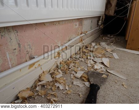A Room Being Decorated Showing Scraped Bare Wall And A Scraper With Scraps Of Wallpaper On The Carpe