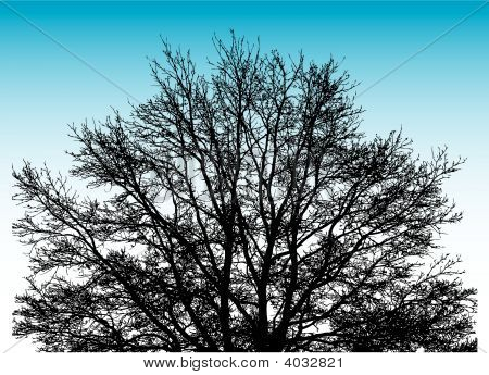 großer Baum