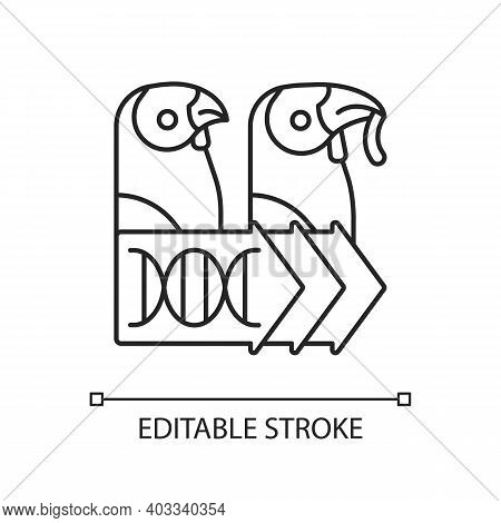 Evolutionary Genetics Linear Icon. Animal Cloning. Zoology Research. Dna Experiment. Thin Line Custo