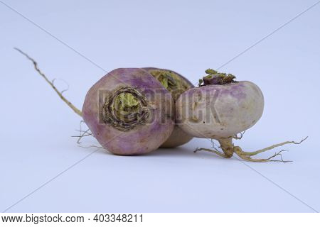 Turnip Or Brassica Rapa Indian Root Vegetable Light Purple Violet Color.asian Indian Pakistani Root 