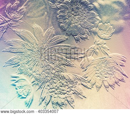 Flower Texture And Pattern. Extraordinary Background. Astrantia Major Flowers Top View. Common Name 