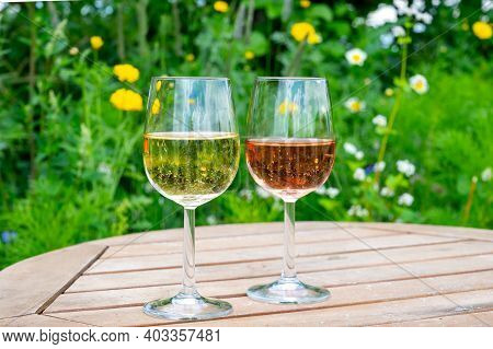 Tasting Of Dutch Sparkling Rose And Dry White Wine On Vineyard In Summer