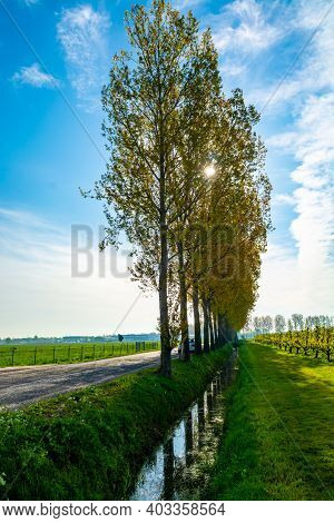 Spring Nature Landscape In Betuwe, Gelderland, Netherlands