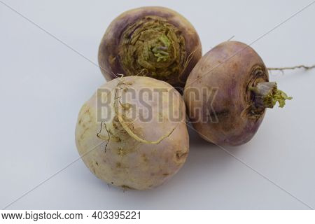 Turnip Vegetable Also Know As Brassica Rapa, From Asia Purple Pink And White Shaded Winter Season Ve