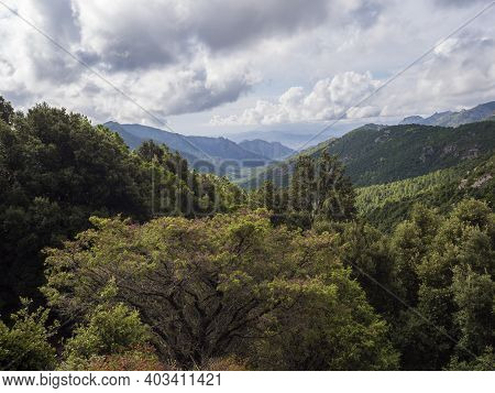 View Of Beautiful Landscape Of Supramonte Mountains With Green Hills, Trees And Mediterranean Forest