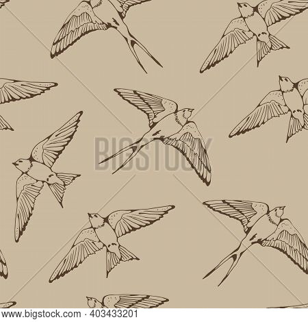 Swallow and House Martin birds vector set, hand drawn collection
