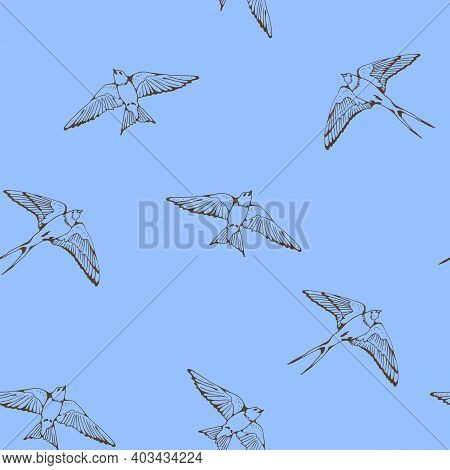 Swallow And House Martin Birds Vector Pattern, Hand Drawn Seamless Background