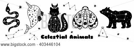 Celestial Animals Set. Big Bear Shape Moth, Cat, Whale, Snake. Starry Elements Isolated. Black Shape