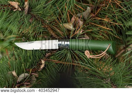 French Knife With A Wooden Handle. Pocket Knife With A Wooden Handle. Knife Lying On The Tree.