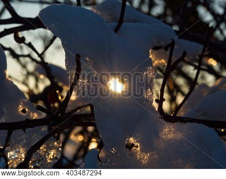 Ice Layer At A Tree While The Sun Reflects Into It In Thuringia