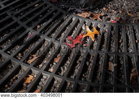 Autumn Maple Leaves On A Metal Lattice In A City.