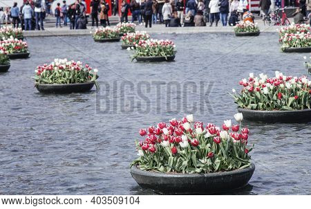 Netherland, Central Square With Sighn I Love Amsterdam From Water Among Tulip Flowerbeds, Lifestyle 