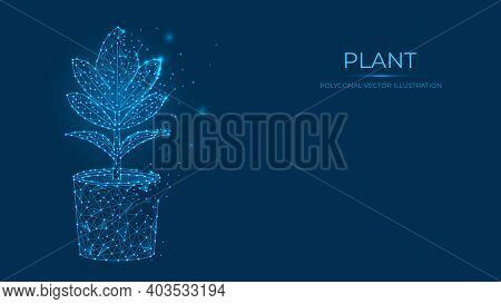 Abstract Polygonal Vector Illustration Of A Plant. Low Poly Concept Of Flower In A Pot Made Of Lines