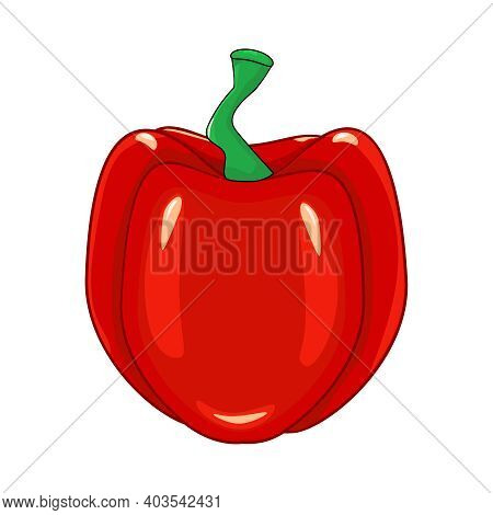 Paprika Isolated On White Background. Hungarian Fresh Red Pepper Vegetable, Healthy Food, Spice. Swe
