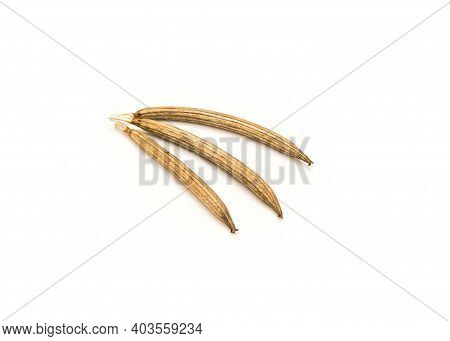 Three Molokhia Or Egyptian Spinach Dried Seed Pods Isolated On White Studio Shot