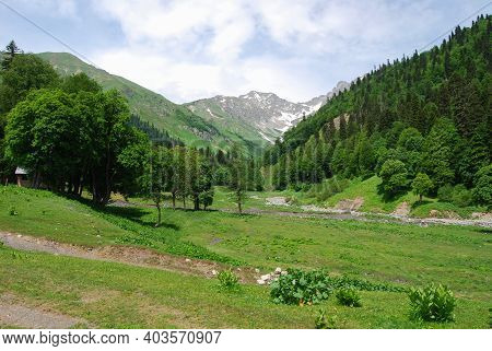 Mountain Landscape, Green Grass In The Foreground. Alpine Meadows In Abkhazia. In The Background, A 