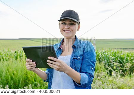 Agriculture Farming, Woman Agronomist Farmer Working With Digital Tablet In Corn Field, Analyzes The