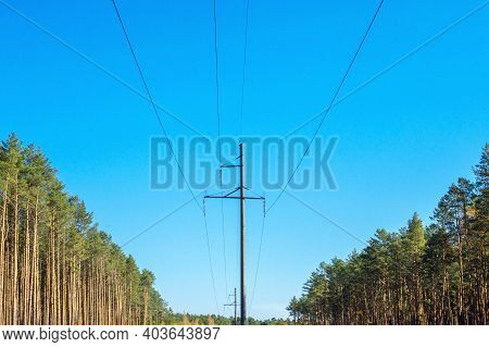 Power Lines On A Background Of Green Forest.