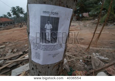 Affiche perdu