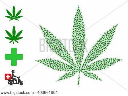 Vector Cannabis Icon Covid-2019 Mosaic. Cannabis Mosaic Is Made Of Small Covid Virulent Icons. Colla