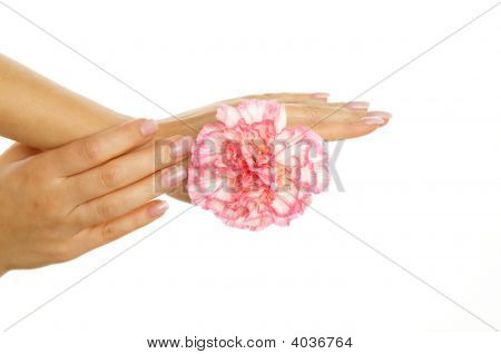 Smuk kvinde hænder med Pink levkøj