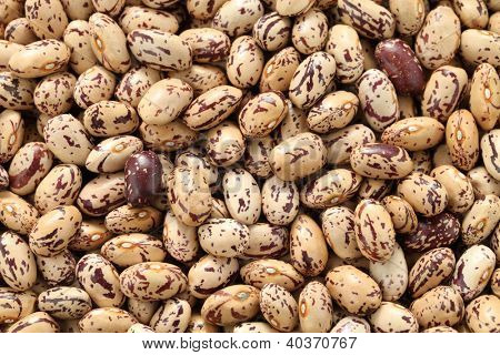 ถั่ว borlotti