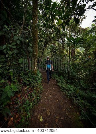 Panorama View Of Green Nature Hiking Trail Path In Tropical Rain Cloud Forest Mindo Valley Jungle Na