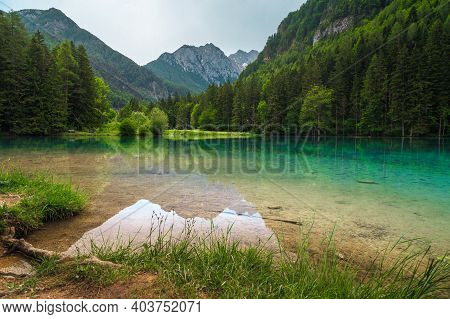 Alpine Summer Landscape With Beautiful Mountain Lake. Plansarsko Lake With Green Forest In Jezersko 