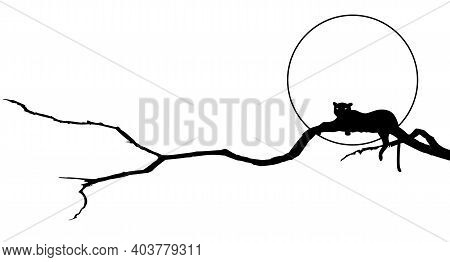 Vector Frame And Divider With Stylized Panther, Branch And Moon Or Sun In Black And White Colors