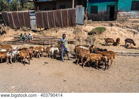 Gondar, Ethiopia - Feb 07, 2020: Ethiopian People On The Road From Gondar To The Simien Mountains, N