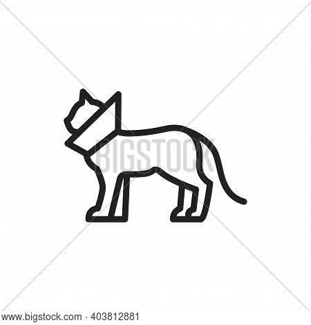 Cat In Bandage Black Line Icon. Postoperative Rest. Isolated Vector Element. Outline Pictogram For W