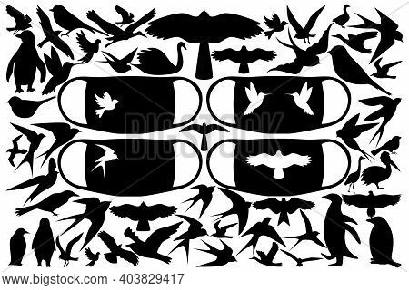 A Huge Set Of Bird Silhouettes For Prints On Medical Masks And More. Various Birds From All Over The