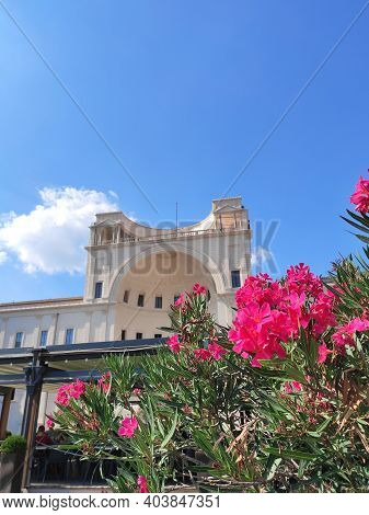 Rome, Italy - July 17, 2019:  Pink Blooming Flowers Against Cortile Della Pigna Located In Vatican C
