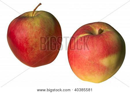 Manzanas rojas sobre fondo blanco.