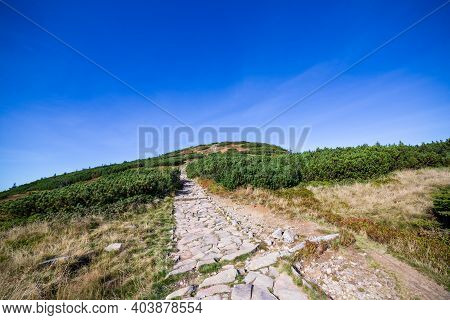 Hiking Trail To Babia Gora Mountain In Beskid Sadecki In Poland, On A Sunny Summer Day, Under Blue S