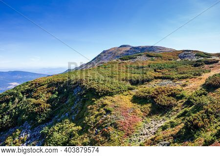 The Peak Of Babia Gora In Beskid Sadecki In Poland, Mountain Landscape On A Sunny Summer Day