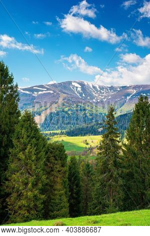 Mountain Landscape In Springtime On A Sunny Day. Trees On The Grassy Meadow. Fluffy Clouds Above The