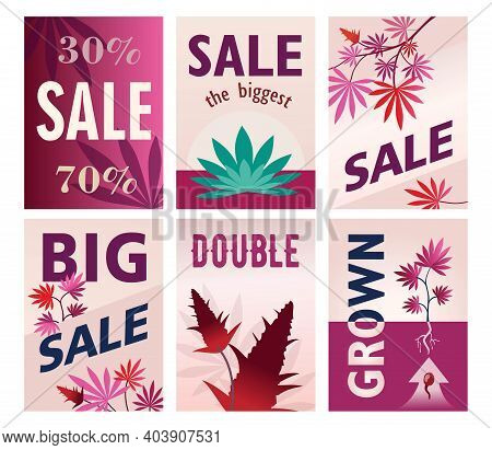 Creative Big Sale Brochure Designs For Ganja Store. Modern Pink Posters With Cannabis Leaves And Con